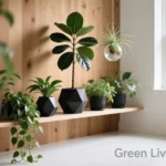 Plant Shelf Decor