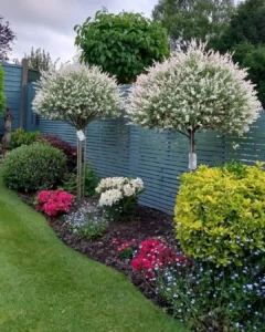 Landscape Along Fence