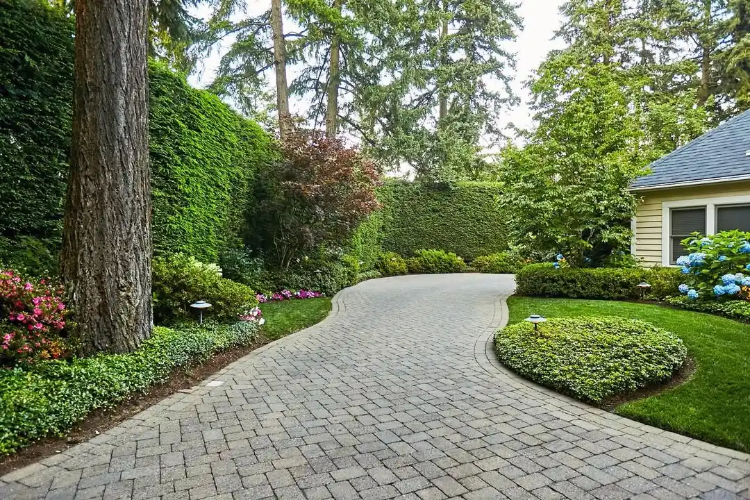 Long Driveway Landscaping
