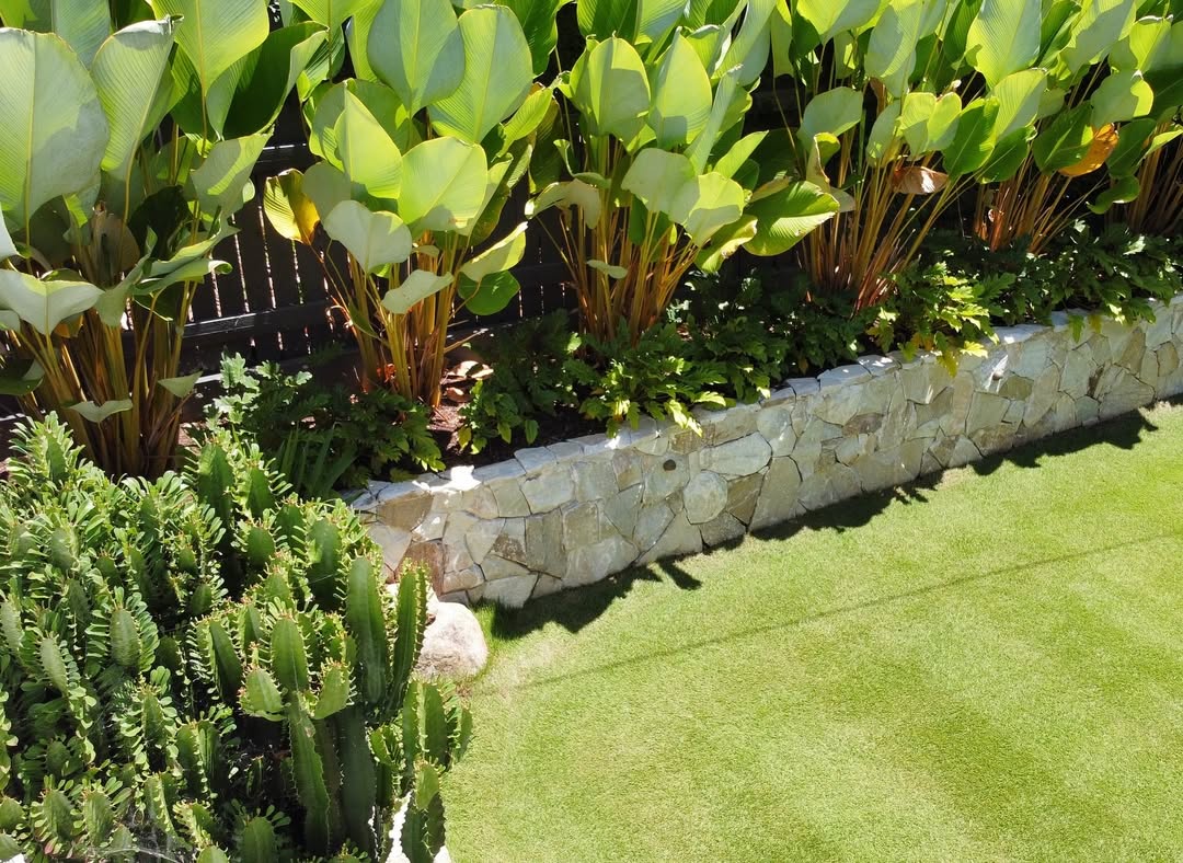 Tropical Backyard Ideas