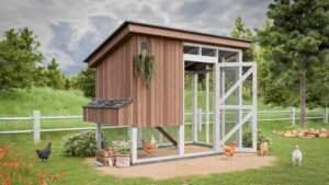 Chicken Coop Ideas