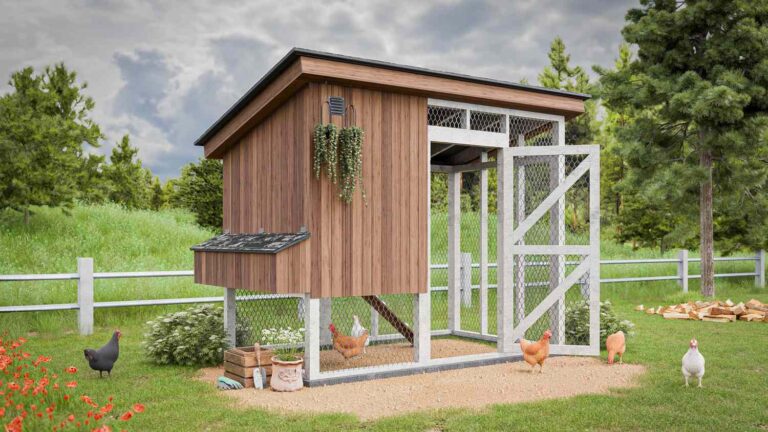 Chicken Coop Ideas