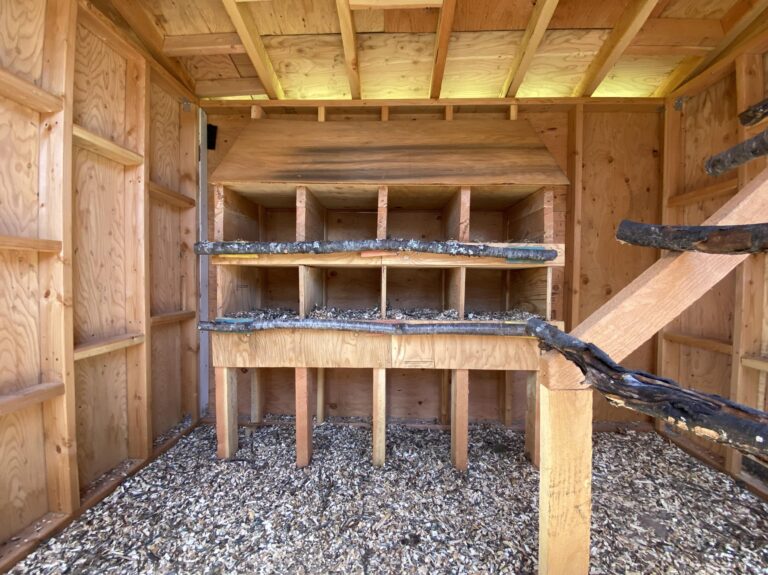 Chicken Coop Layout Inside Ideas