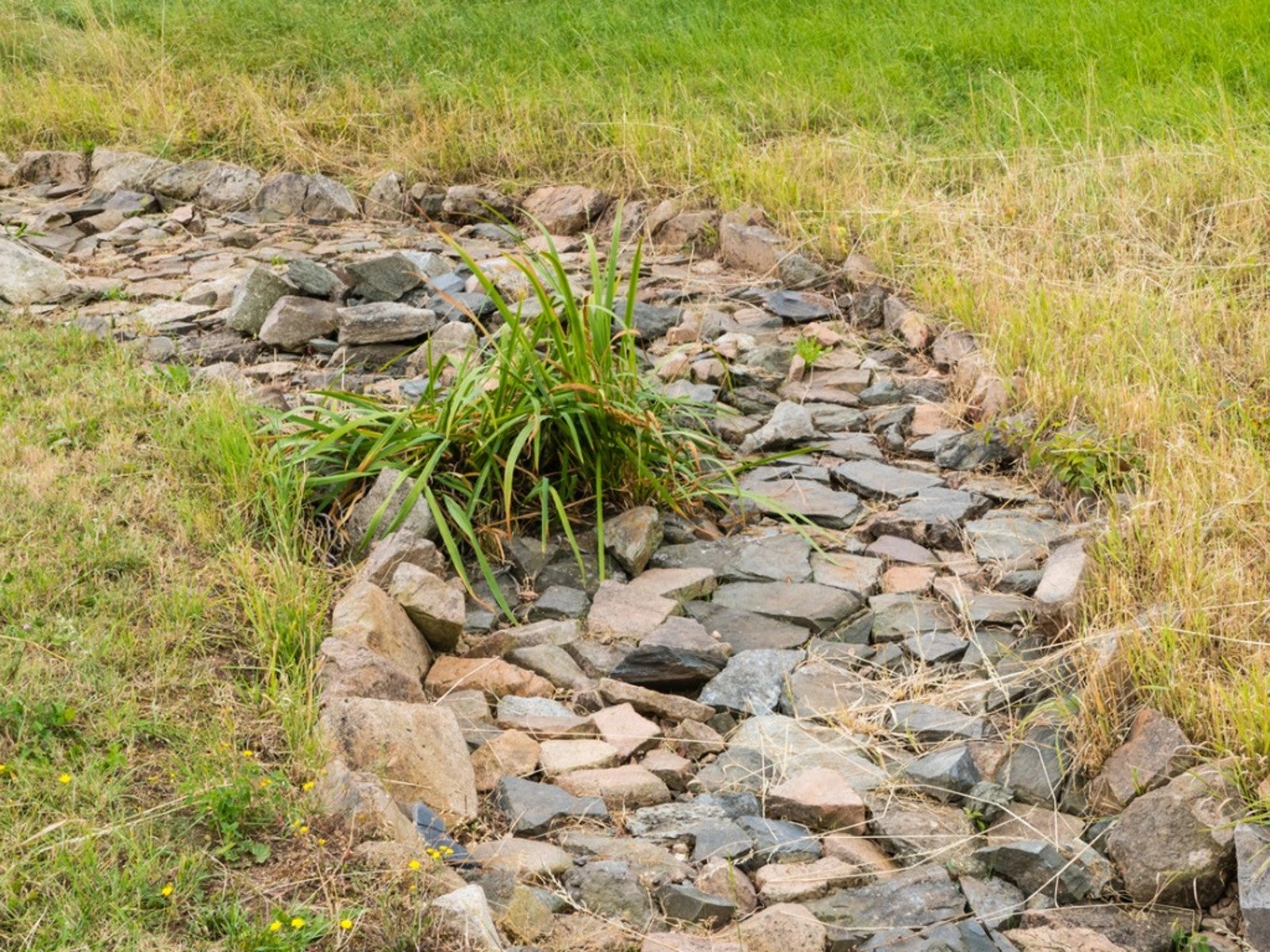 Dry Creek Bed Ideas for Drainage