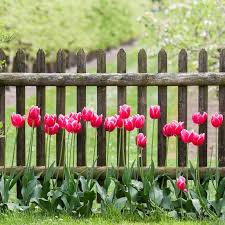 Garden Fence Art Ideas