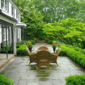 Landscaping Around Patio Ideas