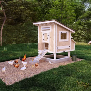 Small Chicken Coop Ideas