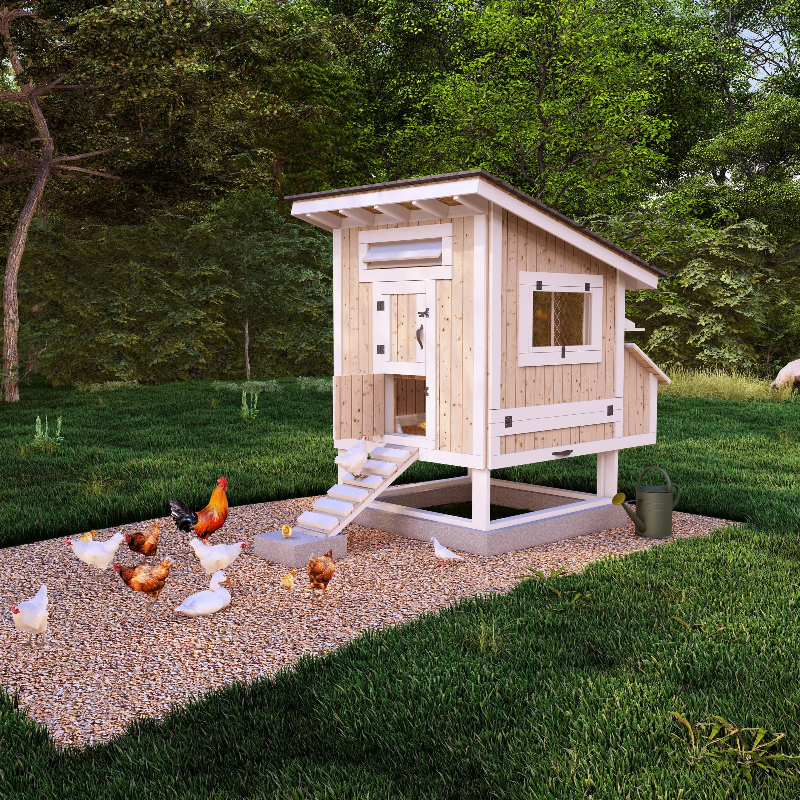Small Chicken Coop Ideas
