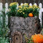 Tree Stump Fairy Garden