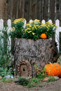 Tree Stump Fairy Garden