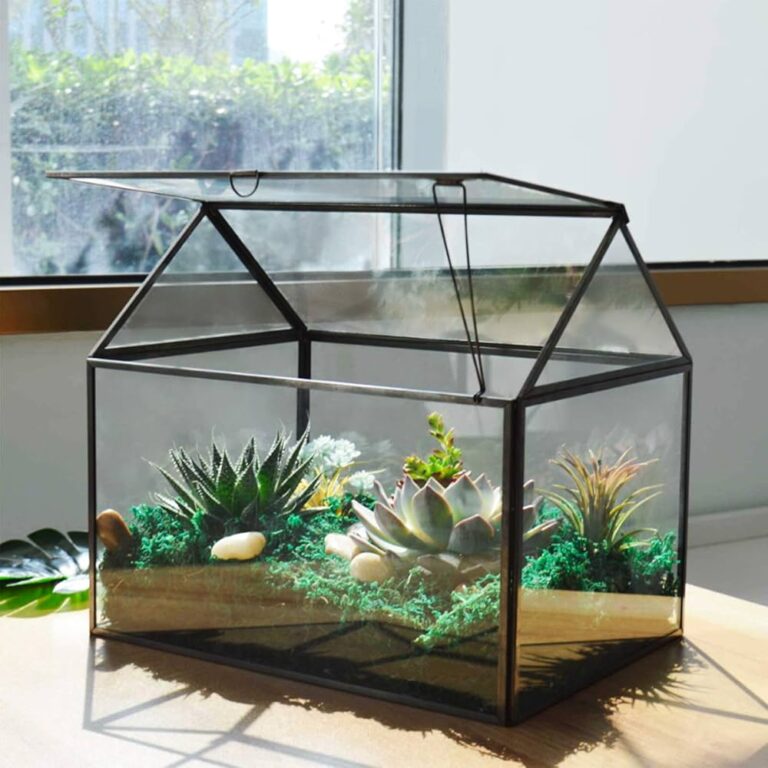 Big Terrarium