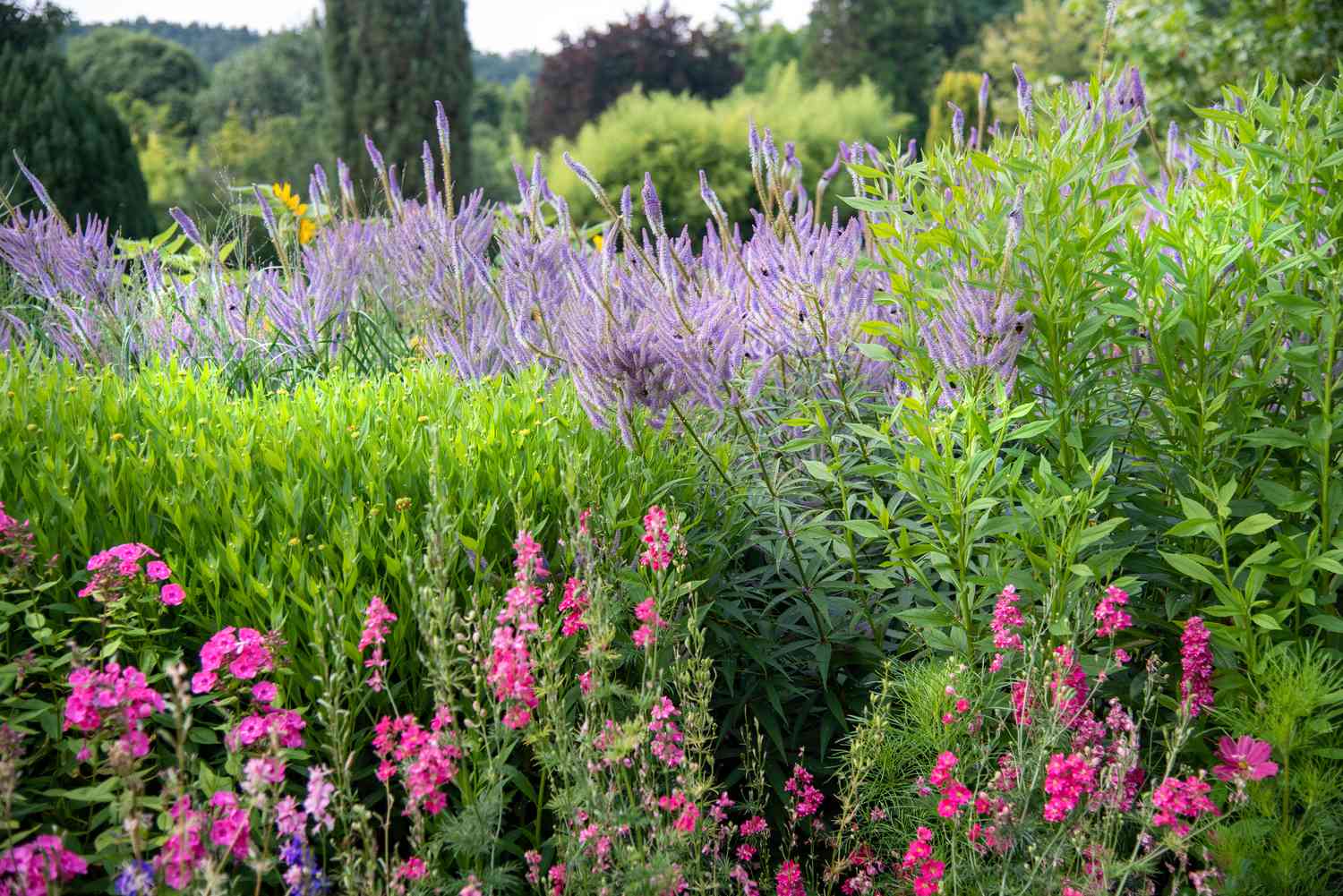 Butterfly Garden Design Layout