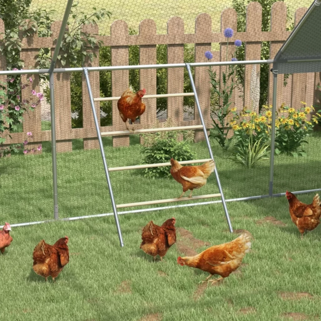 Chicken Coop Roost Ideas