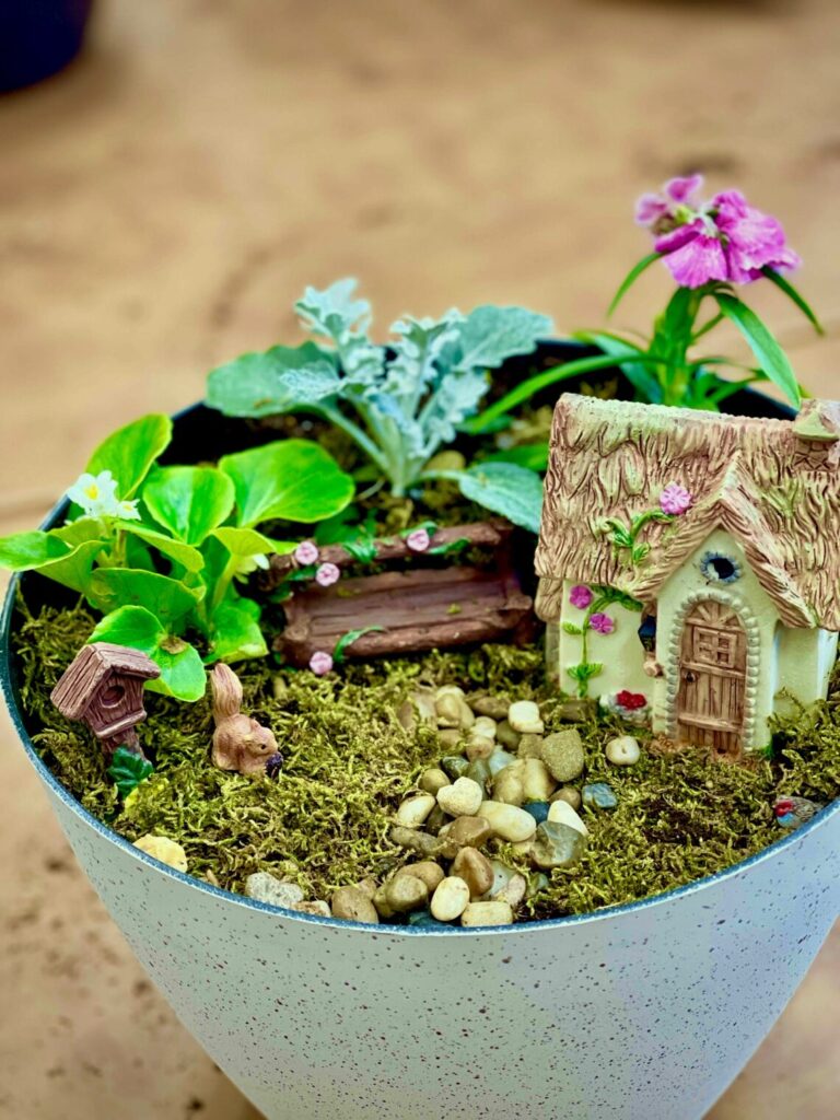 Fairy Garden Planter Ideas