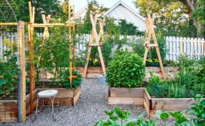 Raised Bed Garden Design Ideas