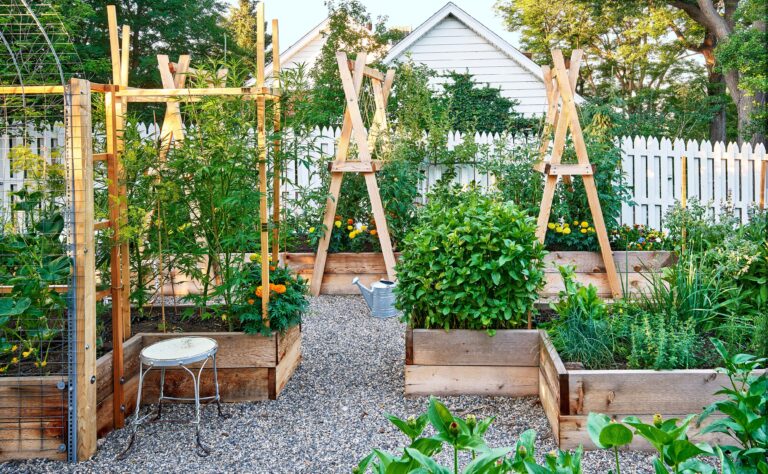 Raised Bed Garden Design Ideas