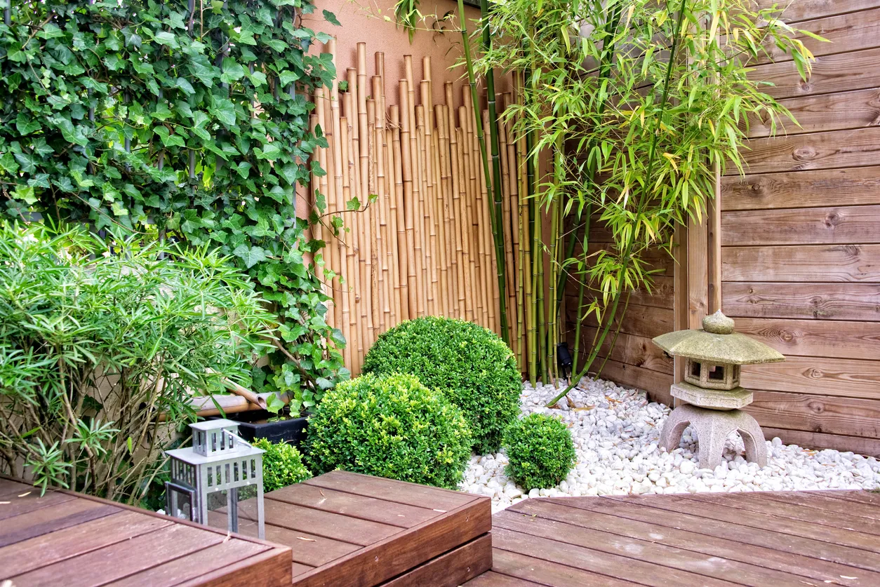 Corner Yard Landscaping Ideas