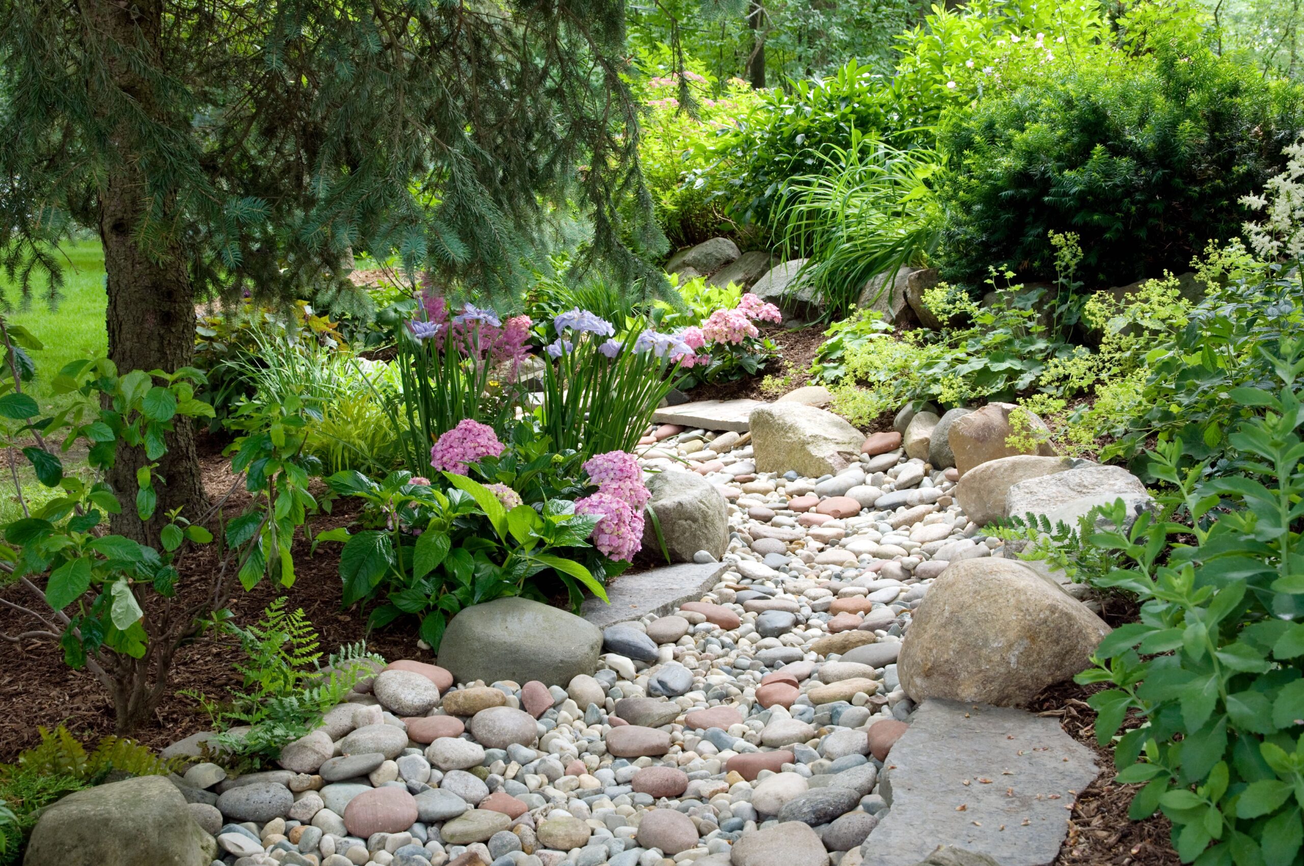 Dry Stream Bed Landscaping Ideas