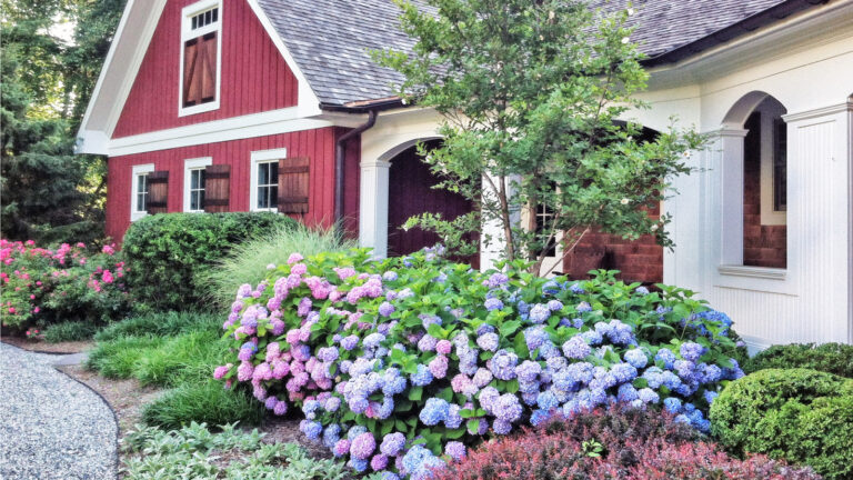 Hydrangea Landscaping Ideas