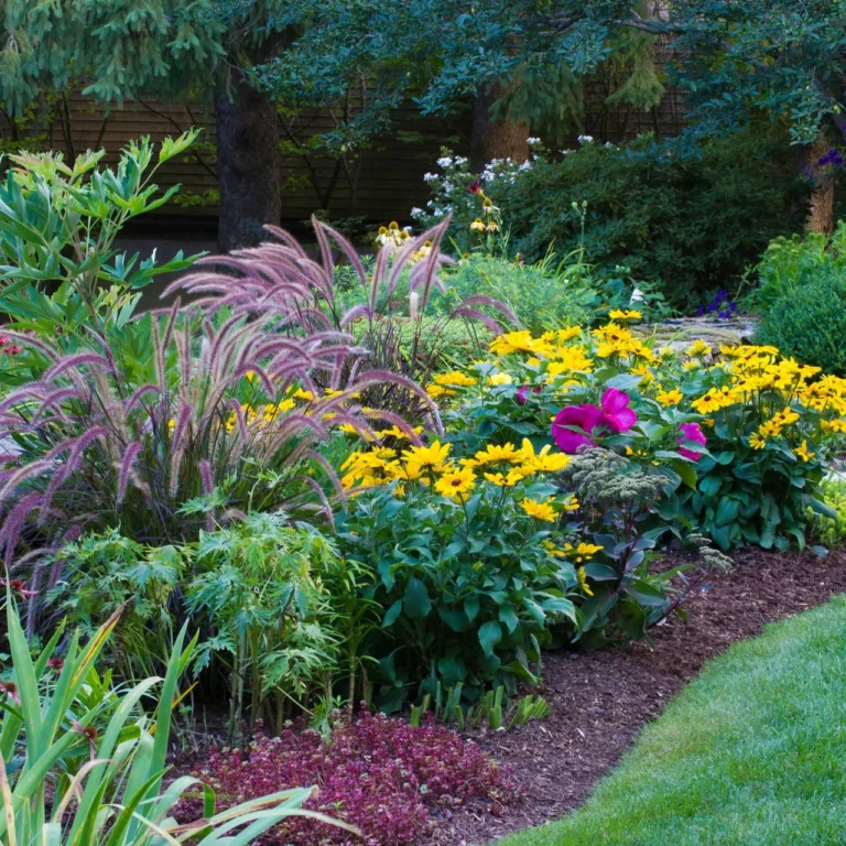 Landscaping Plants Ideas