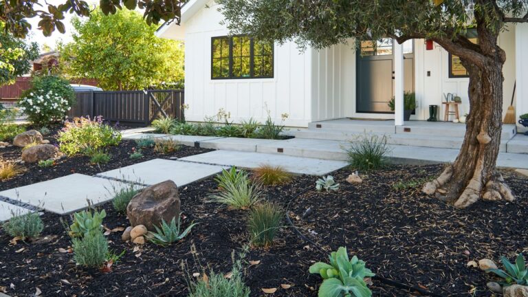 Mulch and Rock Landscaping Ideas