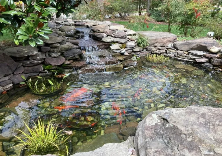 Natural Pond Landscaping Ideas