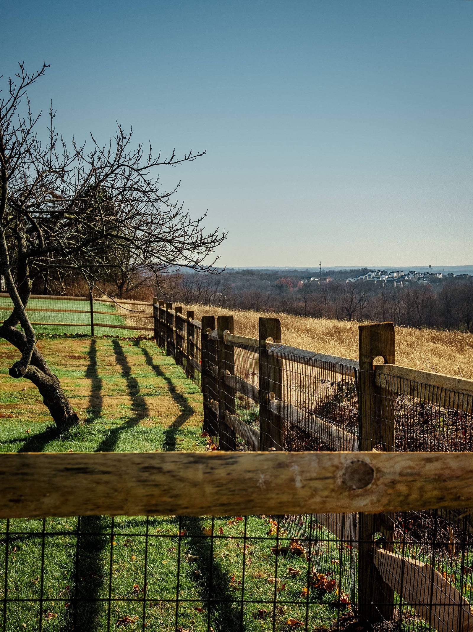 Split Rail Fence Landscaping Ideas