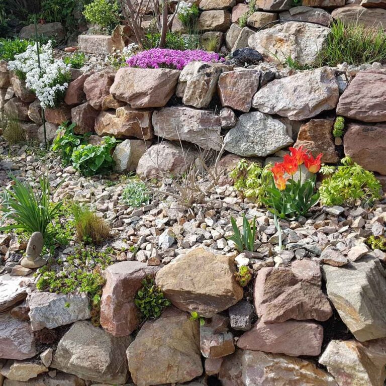 Succulent Rock Garden Landscaping Ideas