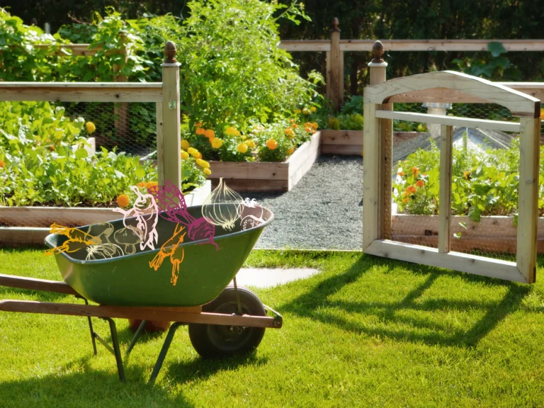 Backyard Vegetable Garden Design