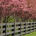 Split Rail Fence Landscaping