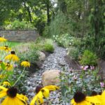 Rain Garden Design