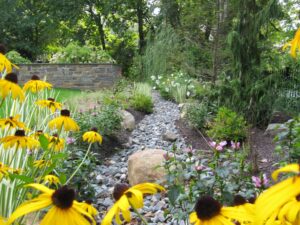 Rain Garden Design