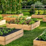 Raised Bed Garden Design