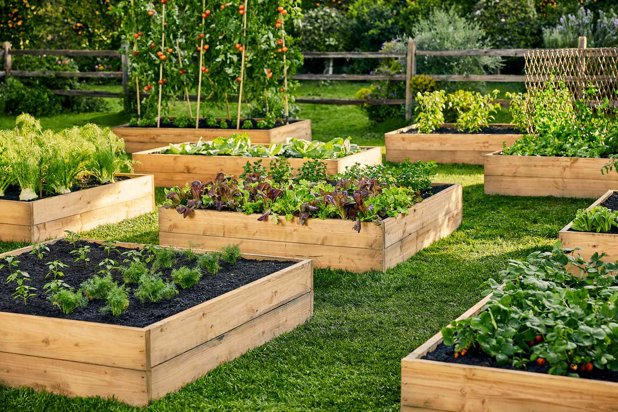 Raised Bed Garden Design